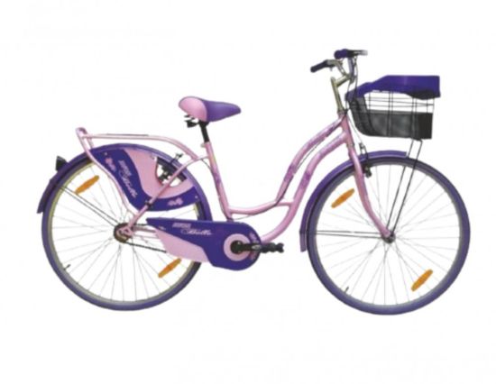 صورة دراجة نسائية مقاس 26